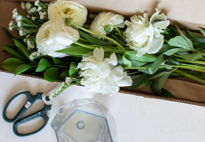 Anemones & Ranunculus Bloombox - Thumbnail 2